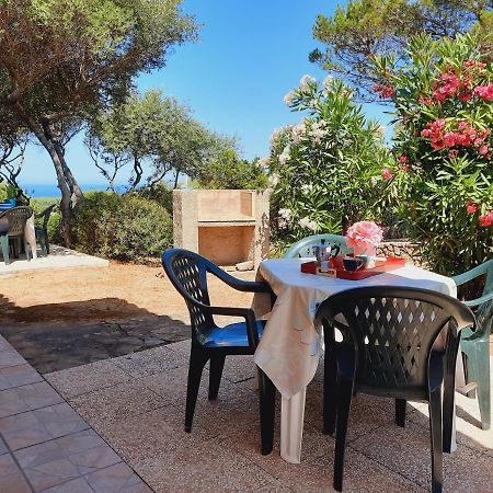 Villette Oleandri Vista Mare Rena Majore Exteriér fotografie